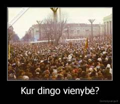 Kur dingo vienybė? - 