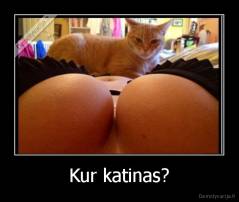 Kur katinas? - 