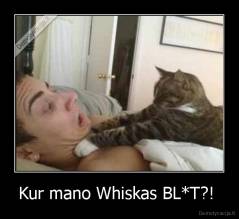 Kur mano Whiskas BL*T?!  - 