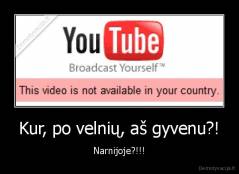 Kur, po velnių, aš gyvenu?! - Narnijoje?!!!