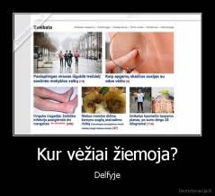 Kur vėžiai žiemoja? - Delfyje