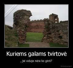 Kuriems galams tvirtovė - , jei viduje nėra ko ginti?