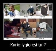 Kurio lygio esi tu ? - 