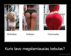 Kuris tavo megstamiausias kebulas?  - 