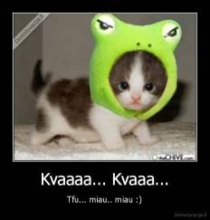 Kvaaaa... Kvaaa... - Tfu... miau.. miau :)