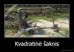 Kvadratinė šaknis - 