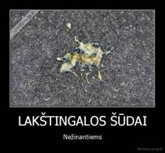 LAKŠTINGALOS ŠŪDAI - Nežinantiems