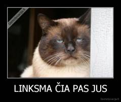 LINKSMA ČIA PAS JUS - 