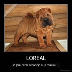 LOREAL - Jis jam tikrai nepadejo nup rauksliu :)