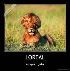 LOREAL - šampūno galia