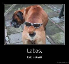 Labas, - kaip sekasi?