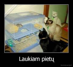 Laukiam pietų - 