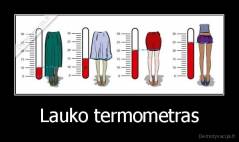 Lauko termometras - 