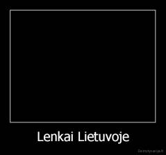 Lenkai Lietuvoje - 