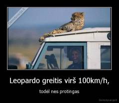 Leopardo greitis virš 100km/h, - todėl nes protingas