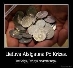 Lietuva Atsigauna Po Krizes. - Bet Algu, Penciju Neatstatineja.