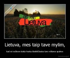 Lietuva, mes taip tave mylim, - kad nė nežinom kokia tvarka išsidėščiusios tavo vėliavos spalvos