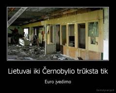 Lietuvai iki Černobylio trūksta tik - Euro įvedimo