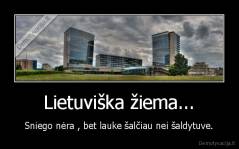 Lietuviška žiema... - Sniego nėra , bet lauke šalčiau nei šaldytuve.