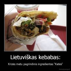 Lietuviškas kebabas: - Krizės metu pagrindinis ingredientas "Katės"