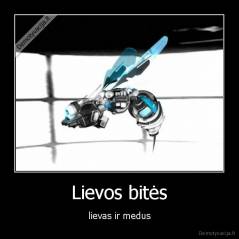 Lievos bitės - lievas ir medus