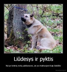 Liūdesys ir pyktis - Kai po kelerių metų paklusnumo, jie yra traktuojami kaip šiukšlės