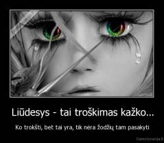 Liūdesys - tai troškimas kažko... - Ko trokšti, bet tai yra, tik nėra žodžių tam pasakyti