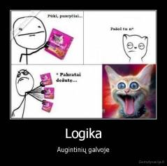 Logika - Augintinių galvoje