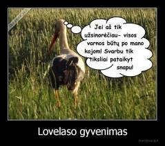 Lovelaso gyvenimas - 