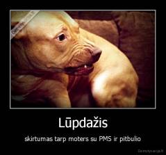 Lūpdažis - skirtumas tarp moters su PMS ir pitbulio