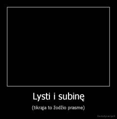 Lysti i subinę - (tikrąja to žodžio prasme)