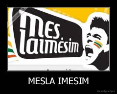 MESLA IMESIM - 