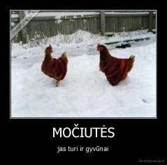 MOČIUTĖS - jas turi ir gyvūnai