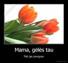 Mama, gėlės tau - Pati jas pavogiau