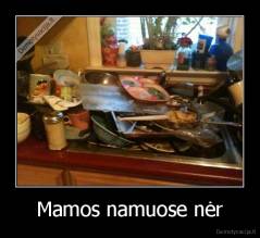 Mamos namuose nėr - 