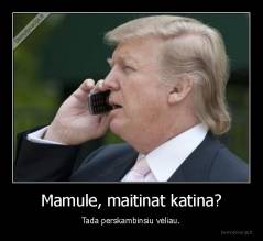 Mamule, maitinat katina? - Tada perskambinsiu vėliau.