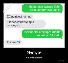 Mamytė - su didele patirtimi