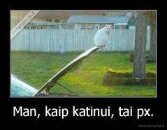 Man, kaip katinui, tai px. - 