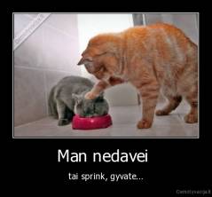 Man nedavei  - tai sprink, gyvate...