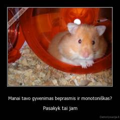 Manai tavo gyvenimas beprasmis ir monotoniškas? - Pasakyk tai jam