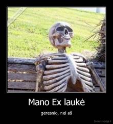 Mano Ex laukė - geresnio, nei aš