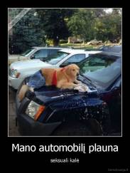 Mano automobilį plauna - seksuali kalė