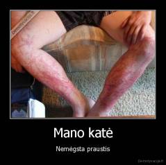 Mano katė - Nemėgsta praustis