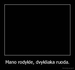 Mano rodykle, dvykliaka ruoda. - 