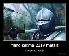 Mano sėkmė 2019 metais - vienoje nuotraukoje