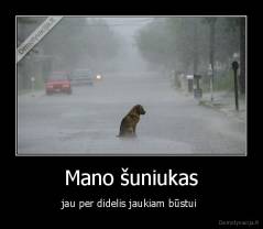 Mano šuniukas - jau per didelis jaukiam būstui 