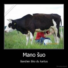 Mano šuo - šiandien šiko du kartus