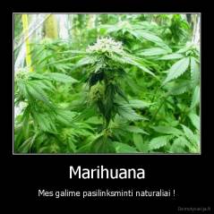 Marihuana - Mes galime pasilinksminti naturaliai !