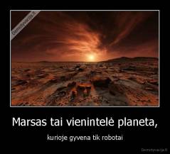 Marsas tai vienintelė planeta, - kurioje gyvena tik robotai