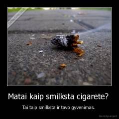 Matai kaip smilksta cigarete?  - Tai taip smilksta ir tavo gyvenimas. 